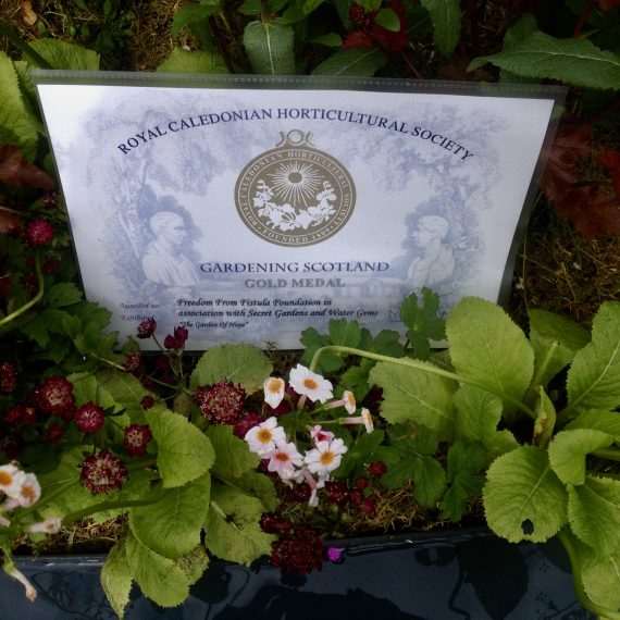 Gold medal Gardening Scotland 2014