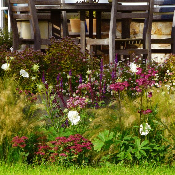 Frothy planting by seating area