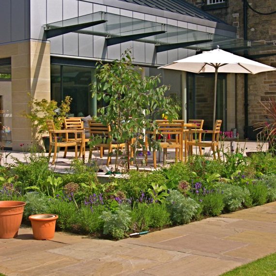 Planting, designed by Carolyn Grohmann, used to soften the terrace