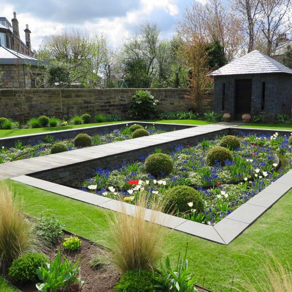 Spring in the sunken garden with grape hyacinths and tulips. Designed by Carolyn Grohmann