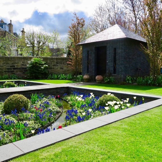 Spring in the sunken garden with grape hyacinths and tulips. Designed by Carolyn Grohmann