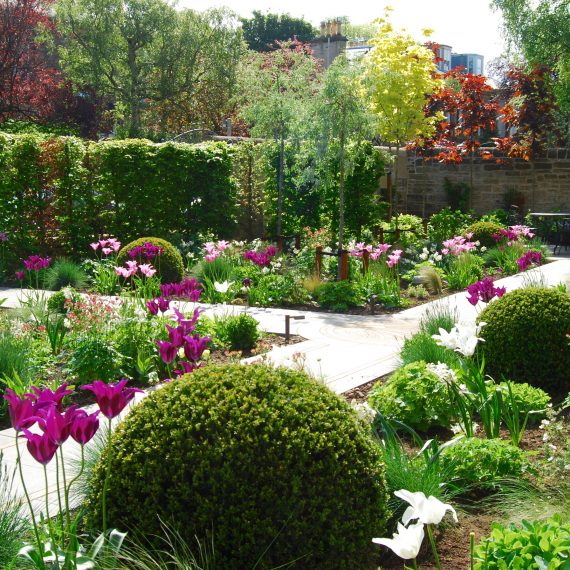 Front garden, clipped box balls, herbaceous planting, designed by Carolyn Grohmann