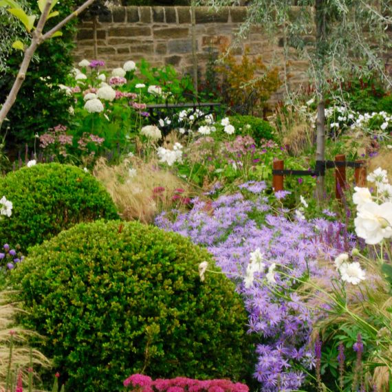Front garden, clipped box balls, herbaceous planting, designed by Carolyn Grohmann