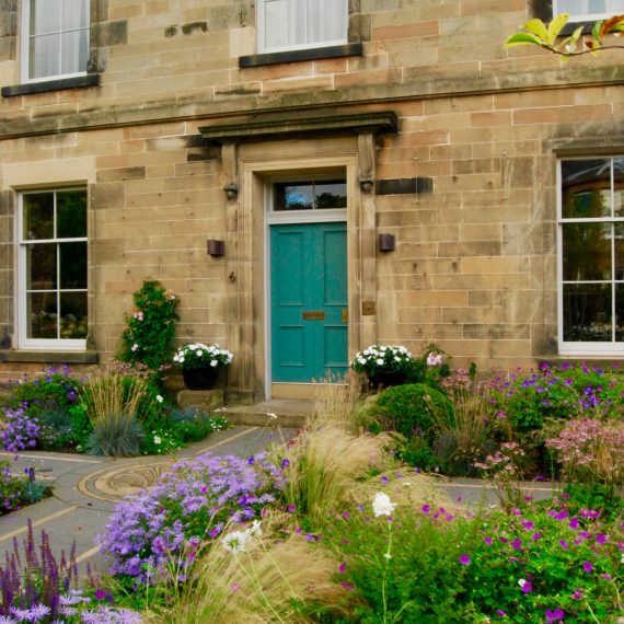Front garden, clipped box balls, herbaceous planting, designed by Carolyn Grohmann