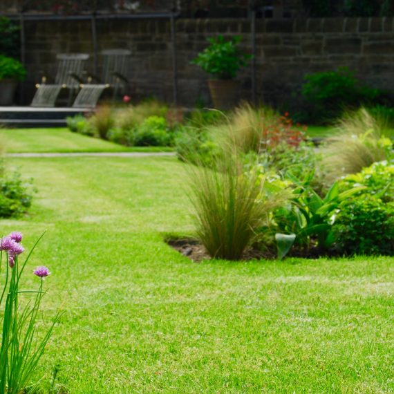 Green sward with herbaceous planting and ornamental grasses, designed by Carolyn Grohmann