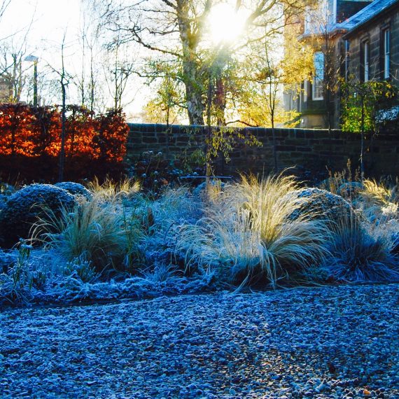 Merchiston Garden, winter, designed by Carolyn Grohmann