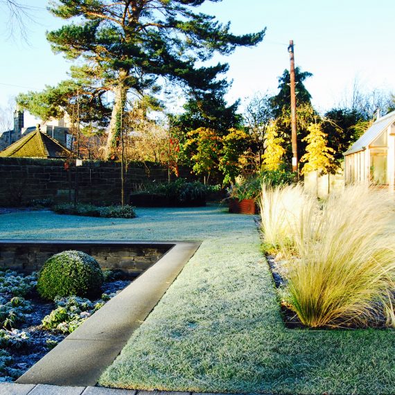 Merchiston Garden, winter, designed by Carolyn Grohmann