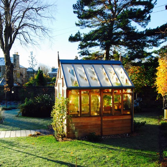 Frosted Gabriel Ash greenhouse, garden designed by Carolyn Grohmann