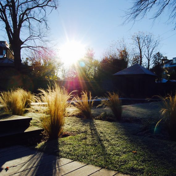 Merchiston Garden, winter, designed by Carolyn Grohmann