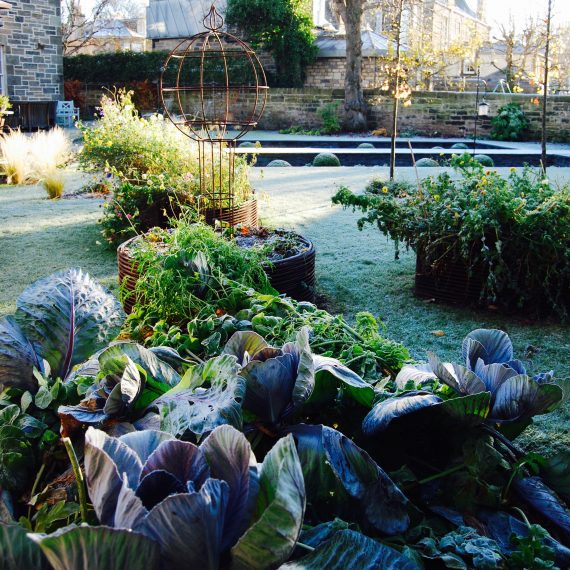 Merchiston Garden, winter, designed by Carolyn Grohmann