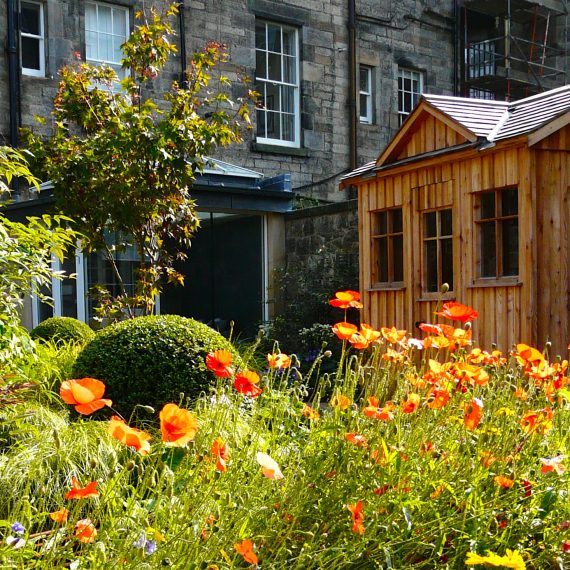 Scottish larch garden shed in Edinburgh garden