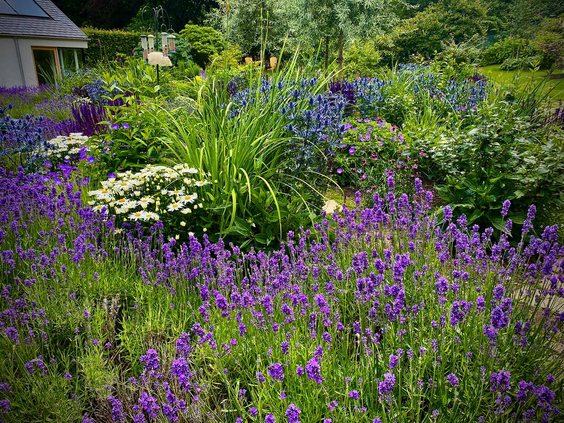 AN ABUNDANCE OF COLOUR BUZZING WITH WILDLIFE