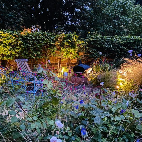 Shandon garden at night