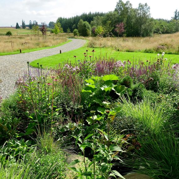 Grasses and herbaceous plants mimicking nearby flora