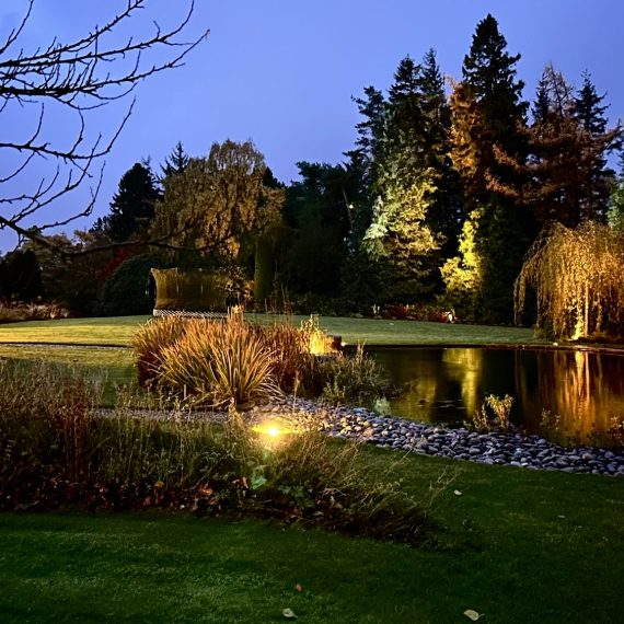 Swimming pond and woodland lighting