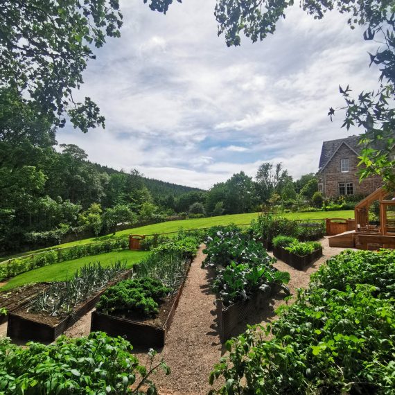 Rebar raised bed, kitchen garden, east lothian garden