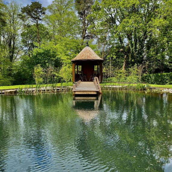 Swimming pond - just planted