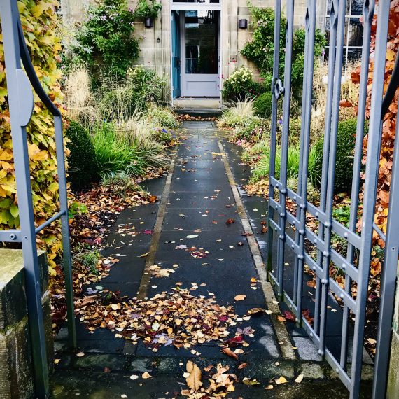 Front garden in autumn