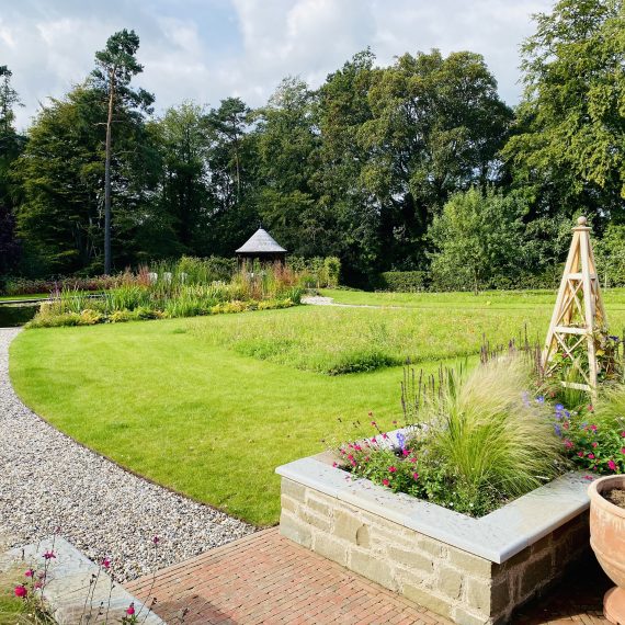 Newly planted perennial meadow