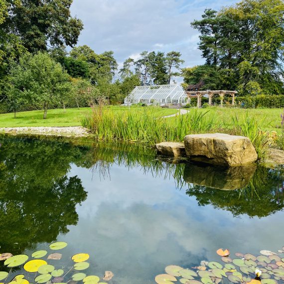 Swimming pond with boulders