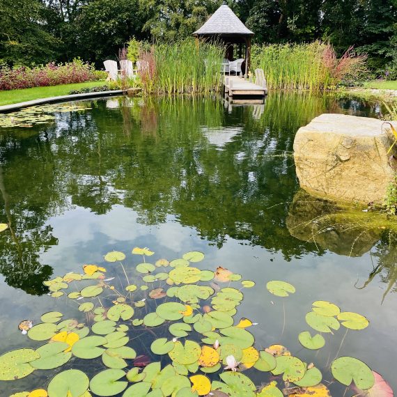 Swimming pond