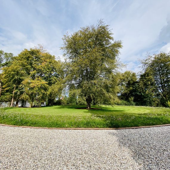 Driveway roundel with newly planted perennial meadow turf