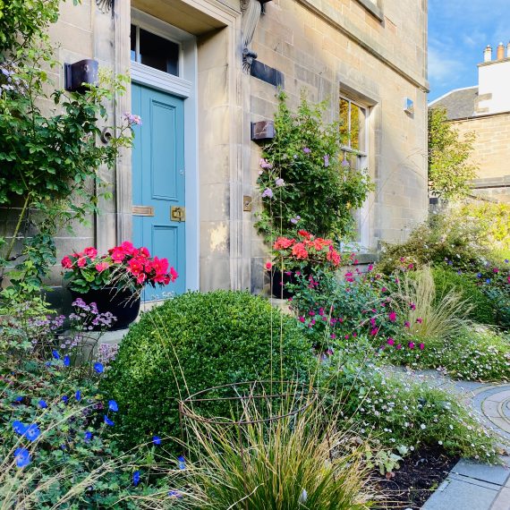 Front garden with clipped Box balls