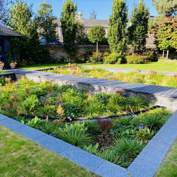 Sunken garden with timber boardwalk