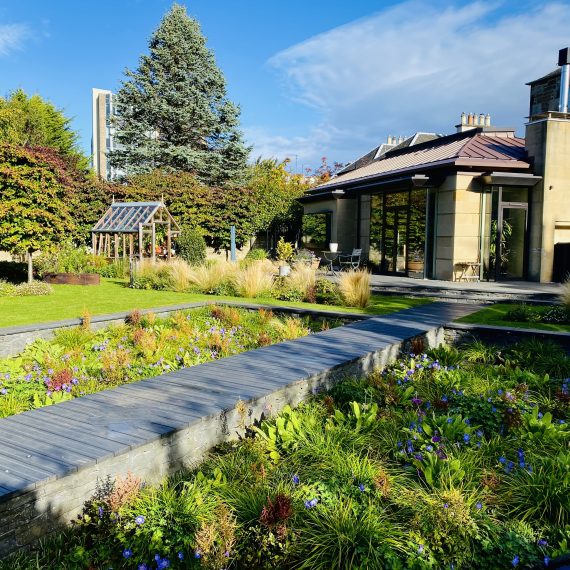 Sunken garden with timber boardwalk