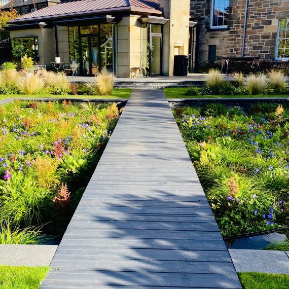Sunken garden with timber boardwalk