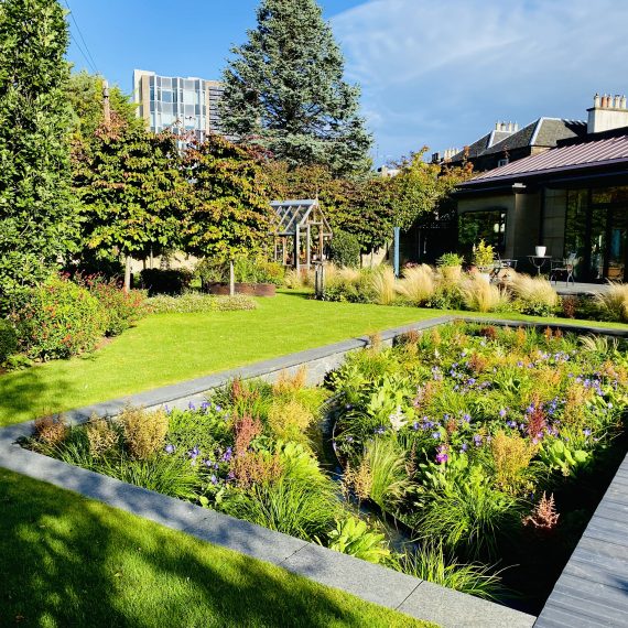 Sunken garden with timber boardwalk