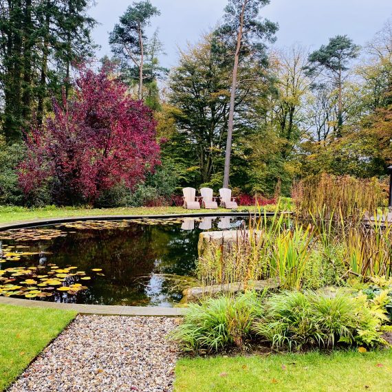 Swimming pond in autumn