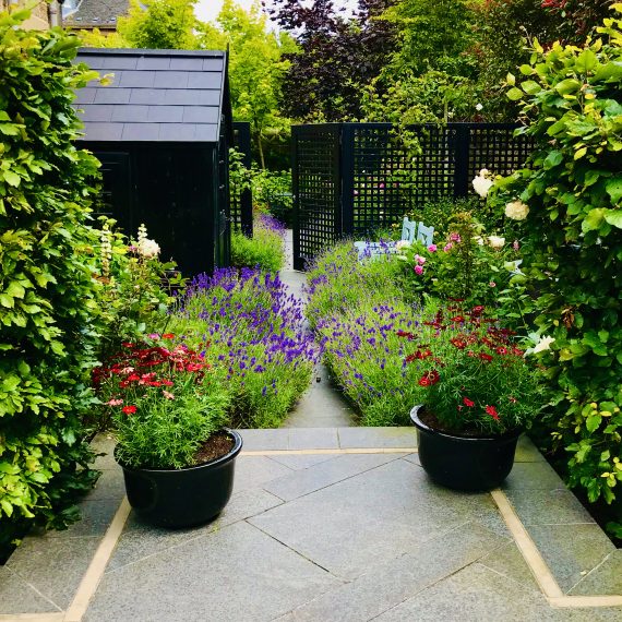 Posh Shed in side garden