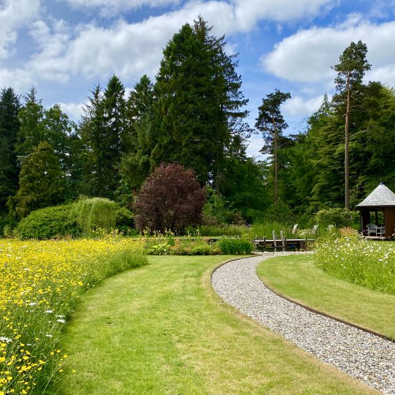 Perennial meadow turf