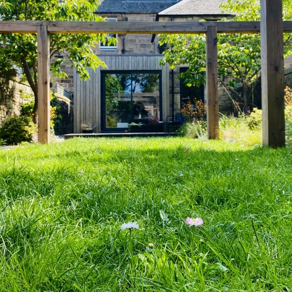 Scottish Larch pergola and species rich lawn