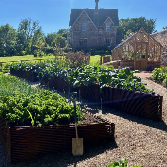 Woven rebar raised beds designed by Carolyn Grohmann