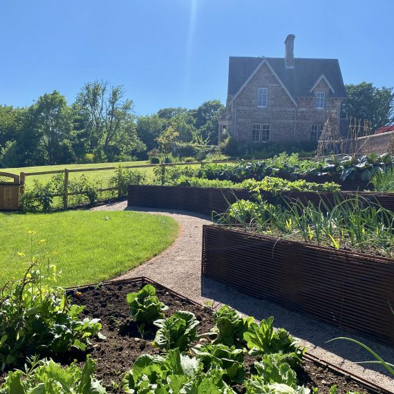 Woven rebar raised beds in walled kitchen garden