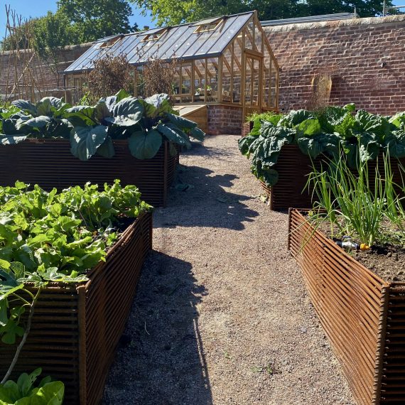 Woven rebar raised beds and cedar greenhouse