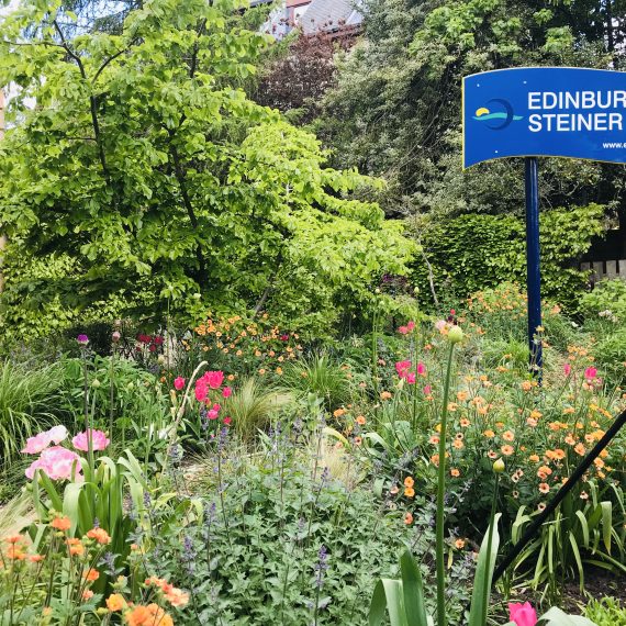Edinburgh Steiner School Garden