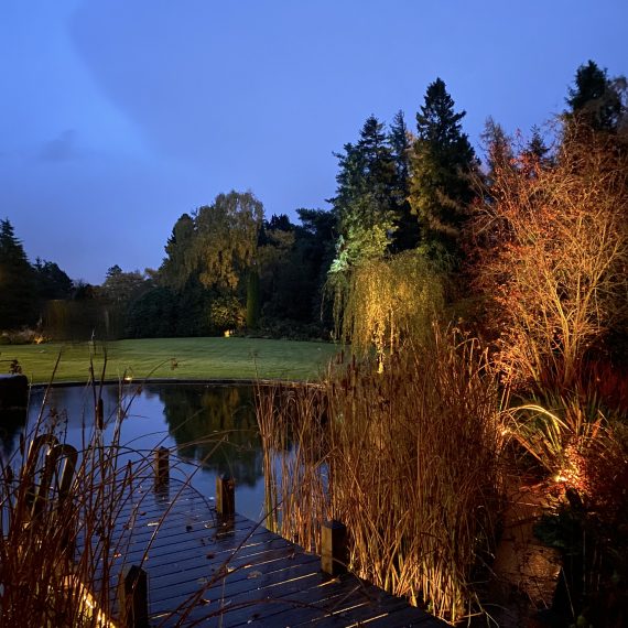 Swimming pond and woodland lighting