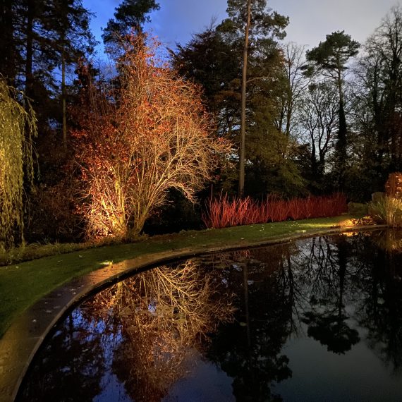 Swimming pond and woodland lighting