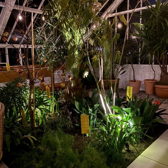 Greenhouse/orangerie lighting