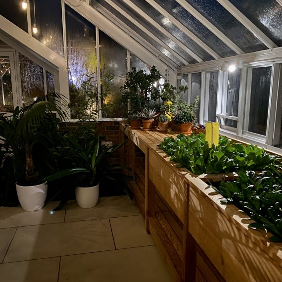 Greenhouse/orangerie lighting