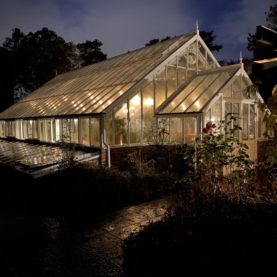 Greenhouse/orangerie lighting