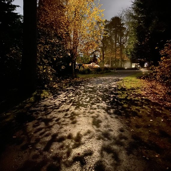 Garden lighting driveway trees with moonlight effect