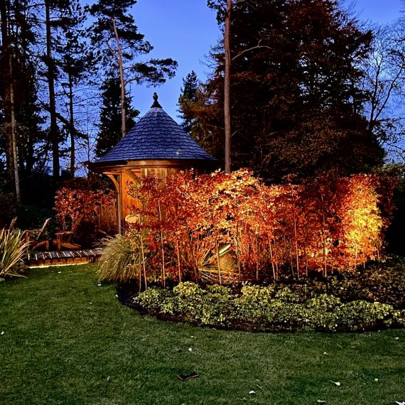 Summerhouse and beech hedge lighting