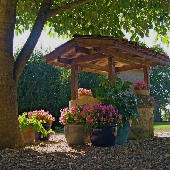 Garden well surrounded by Pelargoniums