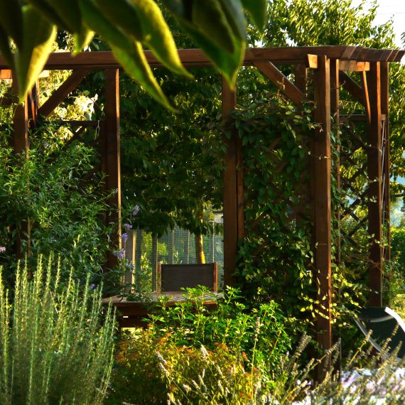 Garden view
