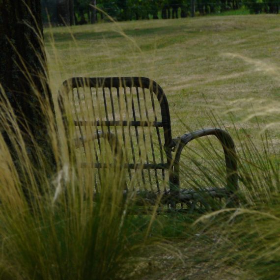 A shady seat in the garden
