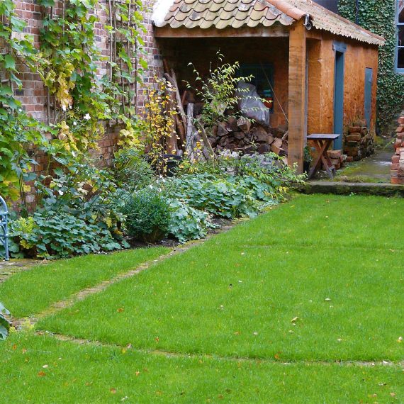 Garden designed by Carolyn Grohmann, brick edging, lime washed garden building, herbaceous planting